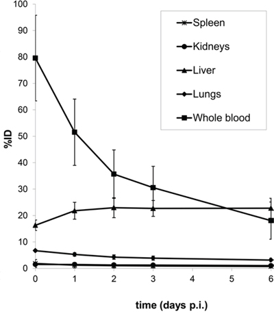 Biodistribution (%ID) of 89Zr-cetuximab as a function of time (days p.i.) for kidney, liver, lung, spleen and whole blood.