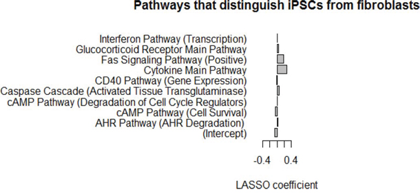 LASSO model using PAS scores can discriminate between iPSCs and fibroblasts.
