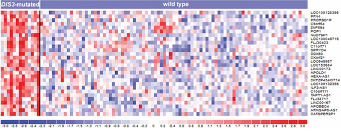 Heatmap of the 28 differentially expressed genes identified at q-value = 0 by SAM two-class analysis of 102 MM patients stratified based on the presence of DIS3 mutations.