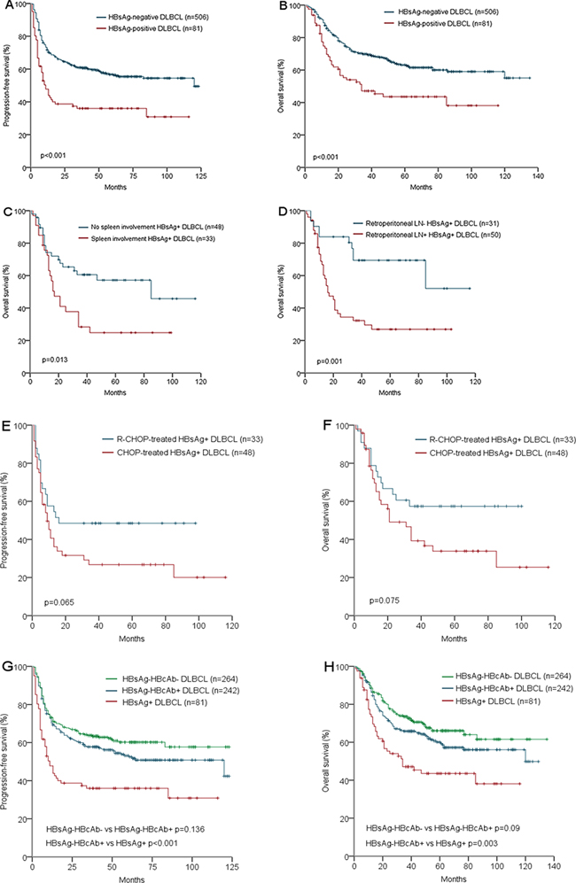 Survival analysis according to HBV infection status: