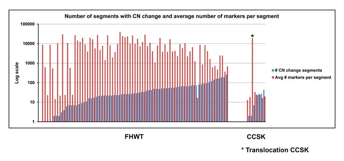 Number of segments with copy number change and average number of markers per segment.