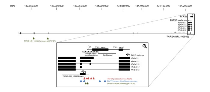 Figure 4: