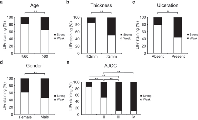 LIFr expression is associated with patient age, tumor thickness and ulceration in primary melanoma patients and gender and AJCC in all melanoma patients.