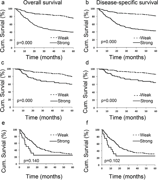 LIFr expression is significantly correlated with 5-year survival of all melanoma patients and primary melanoma patients.