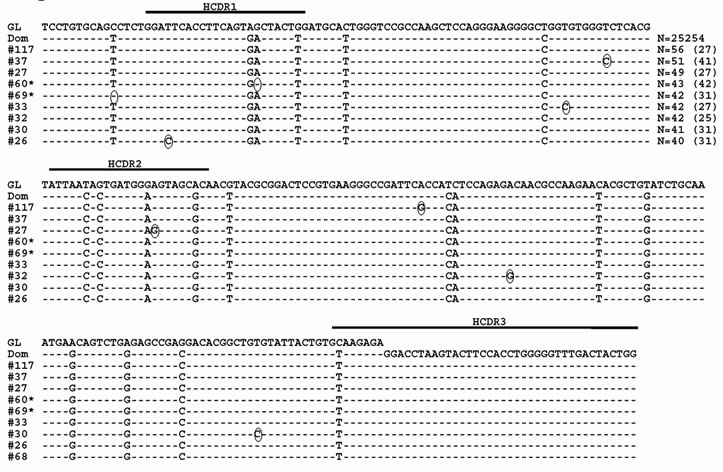 Sequence alignment of MM subclones using IGHV3-74 and the dominant clone HCDR3.