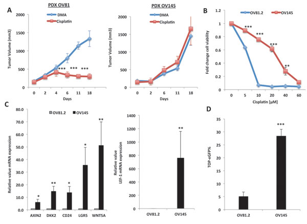 Wnt/&#x3b2;-catenin signaling is up-regulated in platinum-resistant HGSOC tumors.