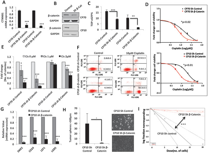 &#x3b2;-catenin knockdown induces chemo-sensitivity in platinum-resistant ovarian tumor cells.