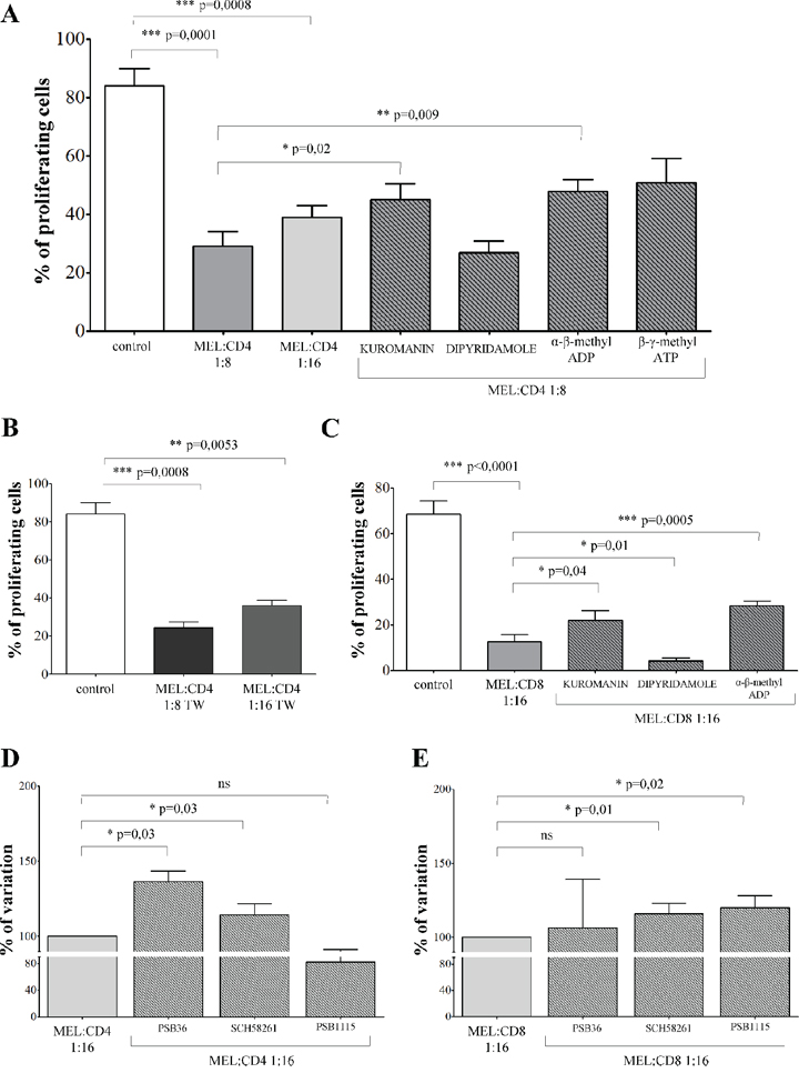 Inhibition of T cell proliferation by melanoma cell lines.