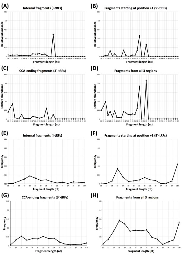 Atypical tRNA fragment lengths.