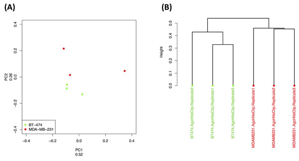 Ago-loading dependence on cell sub-type.