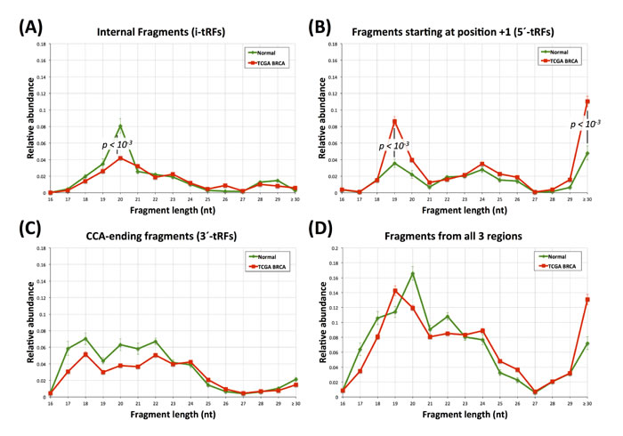 Fragment lengths in the breast datasets.