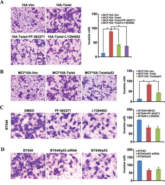 Energy metabolism reprogramming enhances the ability of cell migration.