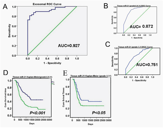 Diagnostic and prognostic values of exosomal miR-21 levels in glioma patients.