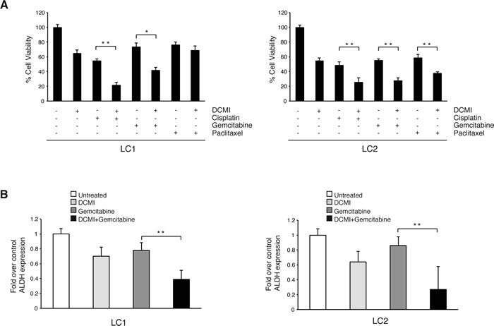 Combination of chemotherapy and DCMI increases cytotoxic effect on lung CSCs.