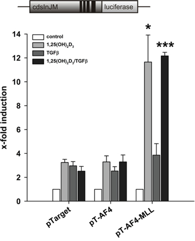 Contribution of calcitriol and TGF&#x03B2; to the AF4-MLL-dependent reporter gene activation by calcitriol/TGF&#x03B2;.