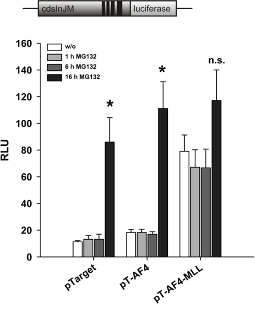 Effect of the proteasome inhibitor MG132 on reporter gene activation by AF4 and AF4-MLL.