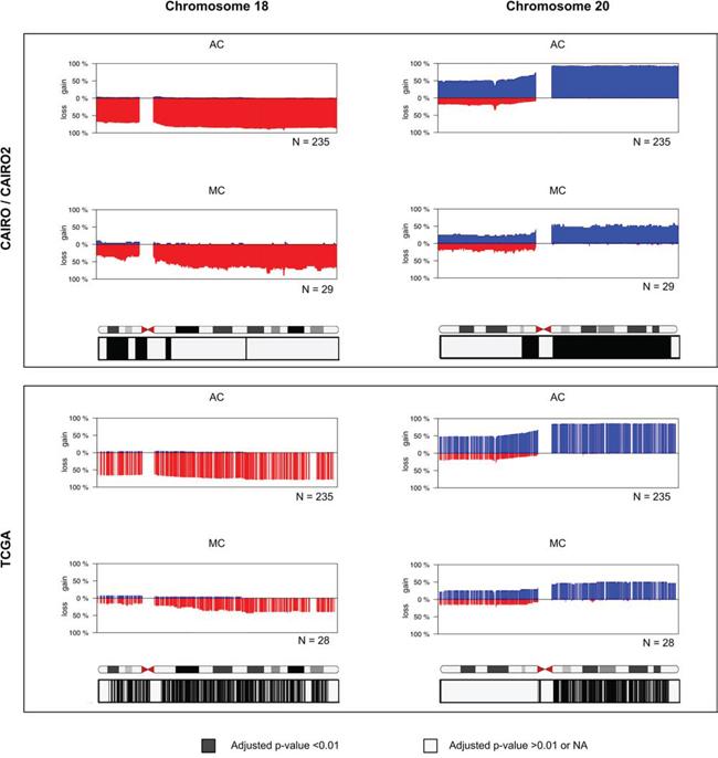 Frequency plots of DNA CNAs in chromosome 18 and chromosome 20.