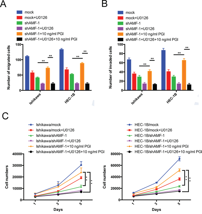 AMF/PGI mediates cell proliferation, migration and invasion activities through MAPK-ERK1/2 signaling.