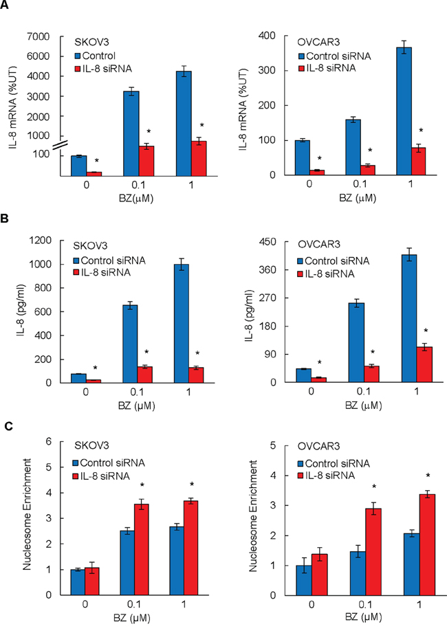 Suppression of BZ-induced IL-8 expression enhances BZ pro-apoptotic effect in ovarian cancer cells.