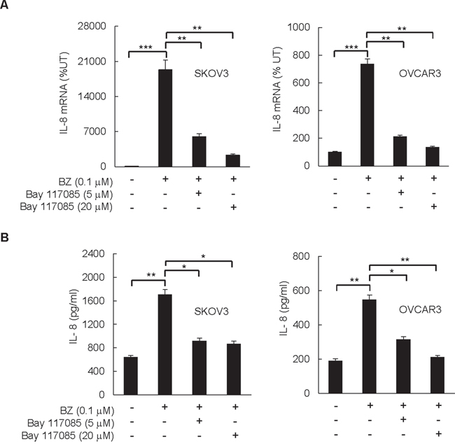 IKK inhibitor Bay 117085 suppresses BZ-induced IL-8 expression in ovarian cancer cells.