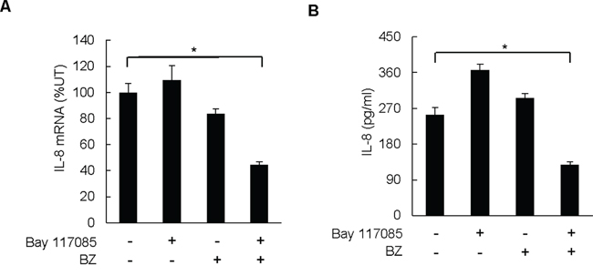 Combination of BZ and Bay 117085 decreases IL-8 expression in nude mice.