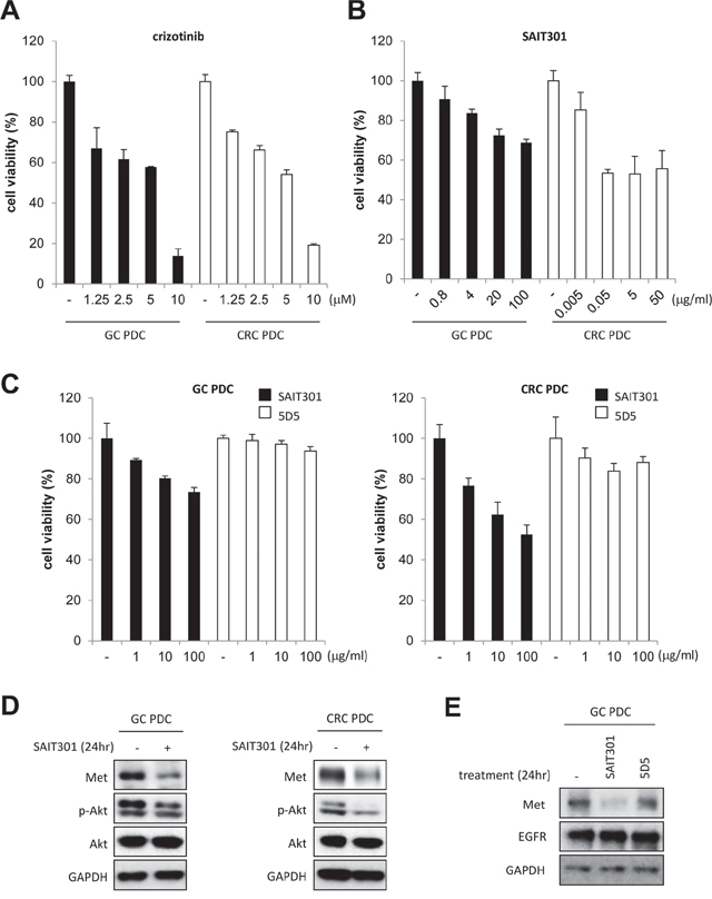 The anti-tumor efficacy of crizotinib and SAIT301 in METex14+ GC and CRC PDCs.