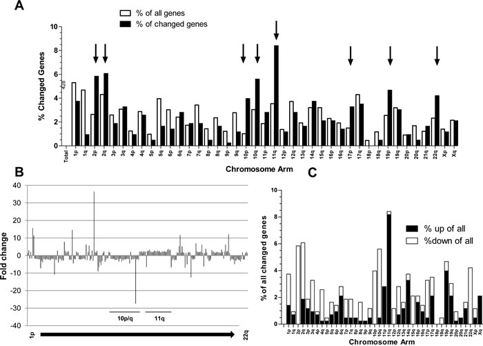 Differentially expressed genes (Student`s t-test, p&lt;0.01; N=428 probes) in the &#8220;fast&#8221; versus the &#8220;slow&#8221; melanoma subgroups are not randomly distributed across the chromosomes.