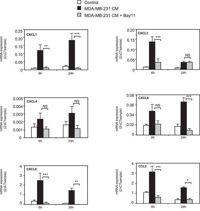 NF-&#x03BA;B pathway is involved in chemokine regulation in MSCs.