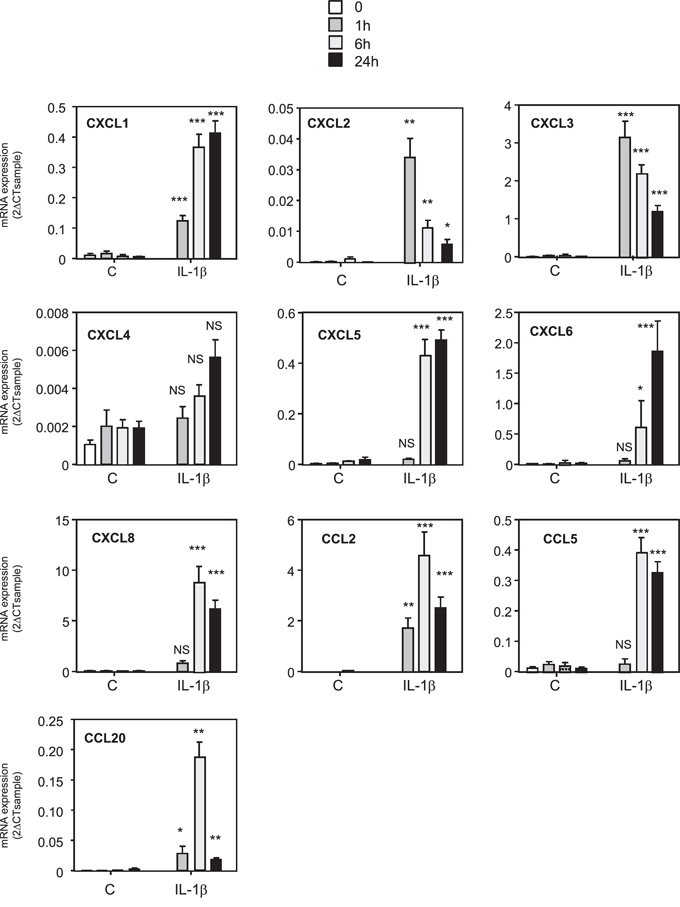 Treatment of MSCs cells with IL-1&#x03B2; induces the same pattern of expression of chemokines.
