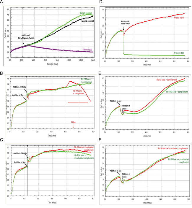 Complement mediated cytotoxicity with anti-SAS1B antibodies.