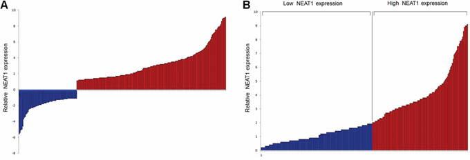 Relative expression of NEAT1 detected and subgroup classification.