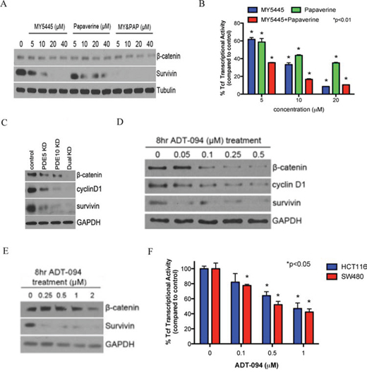 Inhibition of PDE5 and 10 by specific inhibitors or ADT-094 can attenuate &#x03B2;-catenin signaling.