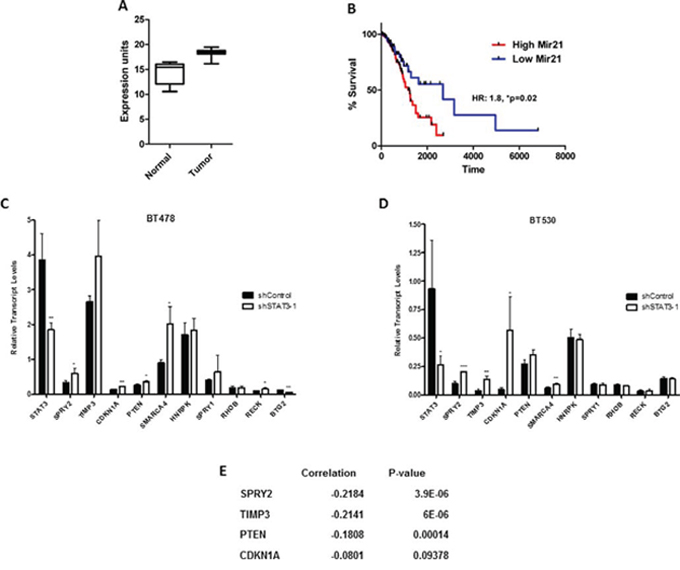 miR-21 expression in lung adenocarcinoma patients and its association with STAT3.