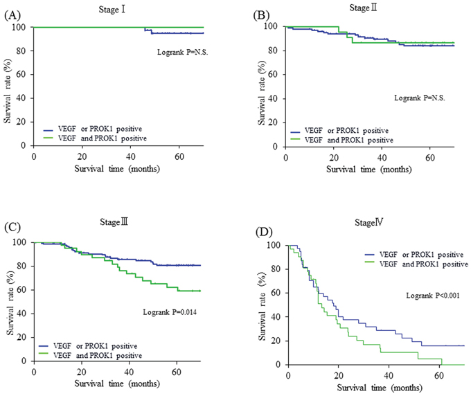 Relationship between the expression of VEGF/PROK1 protein and survival rates in colorectal cancer patients.