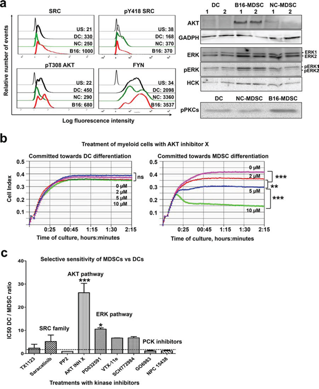 A kinase signature discriminates MDSCs from DCs.