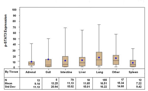 Box and whisker plots stratified by systemic organ metastasis site demonstrating p-STAT3 expression, as determined by immunohistochemical staining, among patients with stage IV melanoma (