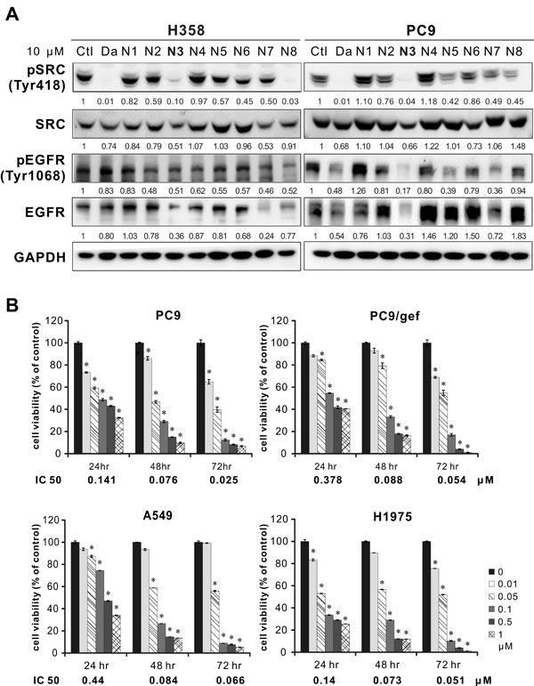 Inhibition of Src, EGFR, and cell viability by candidate compounds in different cell lines.