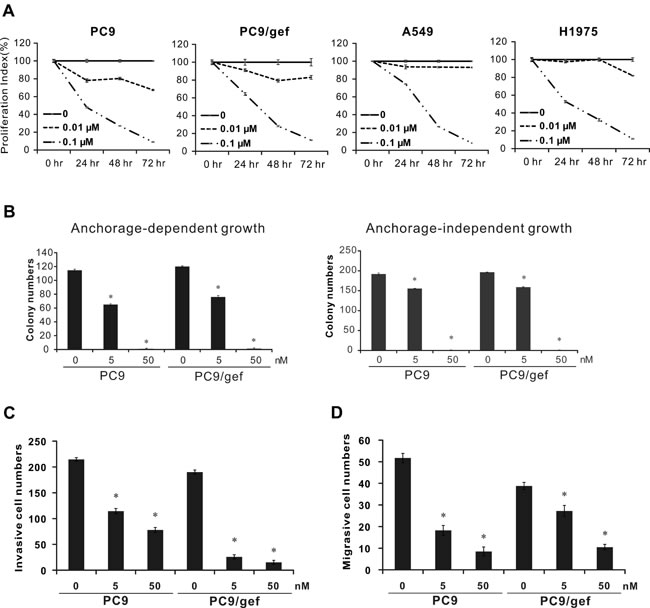 Inhibition of cancer cell proliferation, colony formation, invasion, and migration ability by rhodomycin A.