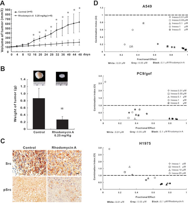 The effects of rhodomycin A on antitumour growth and synergism.