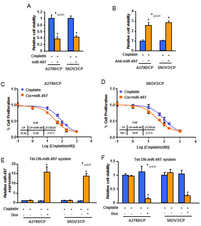 Overexpression of miR-497 reduces resistance of ovarian cancer cells to cisplatin treatment.