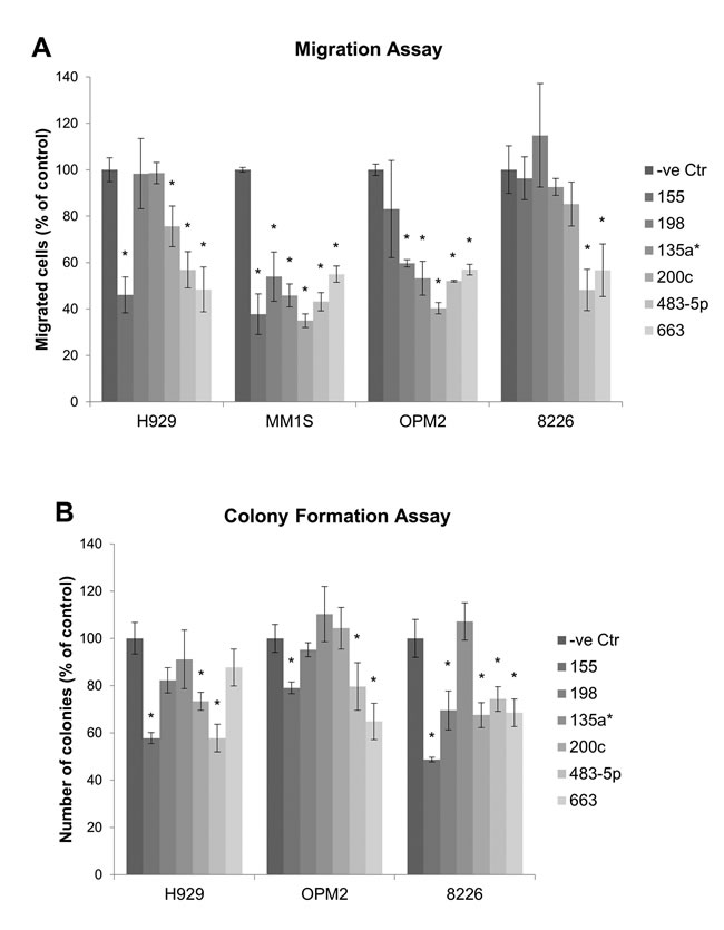 Migration and colony formation assay measuring the effect of miRNA mimic on migration and colony formation of MM cells.