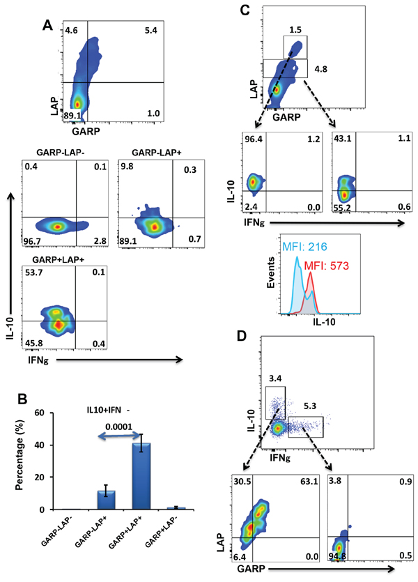 Intracellular cytokine secretion from different GARP+/&#x2013;LAP+/&#x2212; CD4+ T-cell subsets.