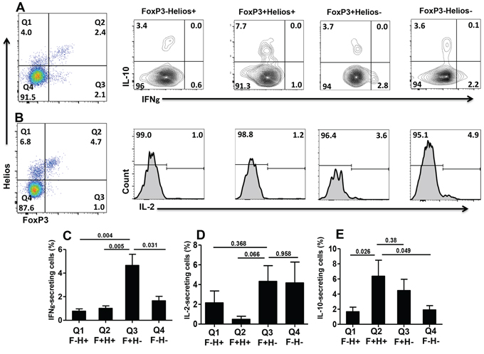 Intracellular cytokine secretion from different FoxP3+/&#x2013;Helios+/&#x2212; T-cell subsets.