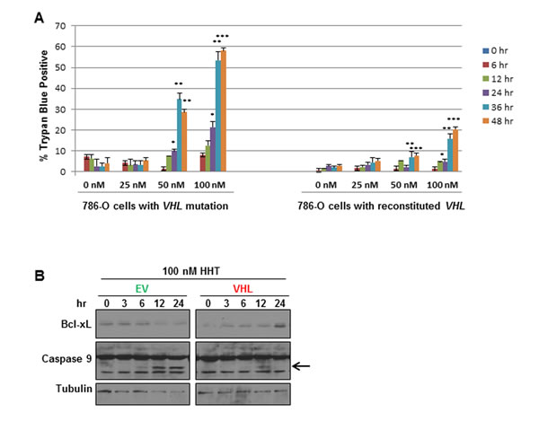 Homoharringtonine (HHT) preferentially induces cell death in