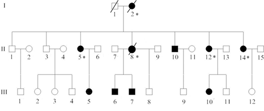 Pedigree structure of the Chinese family with familial adenomatous polyposis.