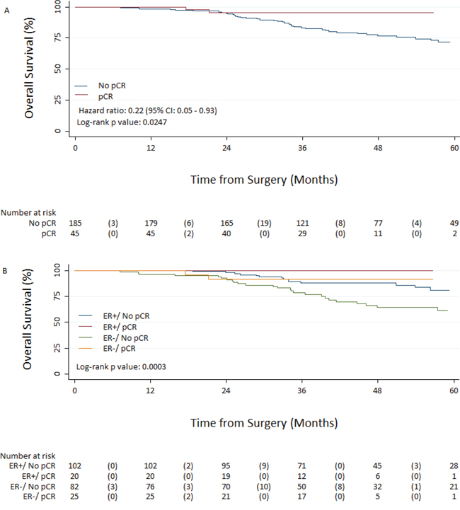 Overall survival from surgery in patients with pathologic complete response (pCR) and without pCR A. and based on Estrogen receptor status/pCR interaction B.