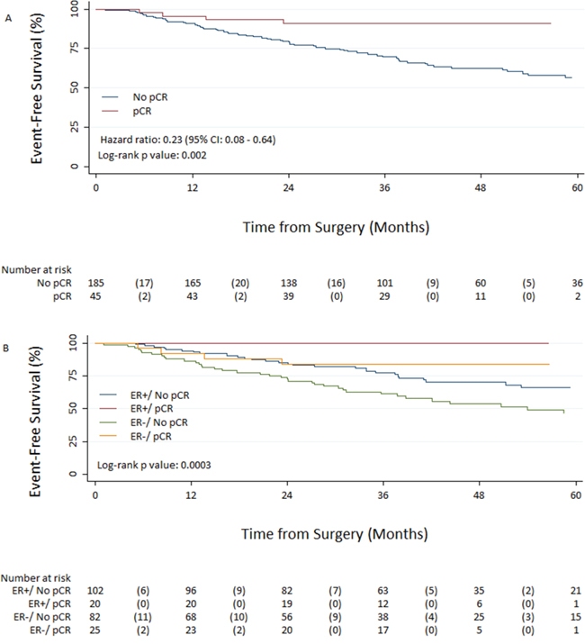 Event-free survival from surgery in patients with pathologic complete response (pCR) and without pCR A. and based on Estrogen receptor status/pCR interaction B.