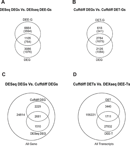 Intersection between DESeq-identified DEGs and DEXseq-identified DEE-Gs A. between Cuffdiff-identified DEGs and DET-Gs B. between DESeq-identified and Cuffdiff-identified DEGs C. and between Cuffdiff-identified DETs and DEXseq-identified DEE-Ts D.