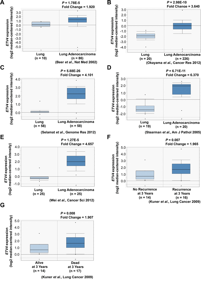 Association of ETV4 expression with tumor, recurrence, and clinical outcomes of lung cancer patients.