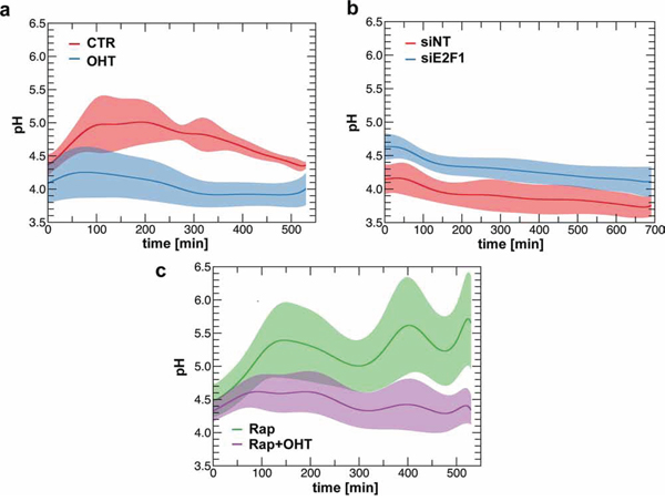 E2F1 regulates intra-lysosomal pH.